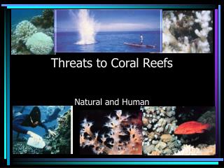  Dangers to Coral Reefs 